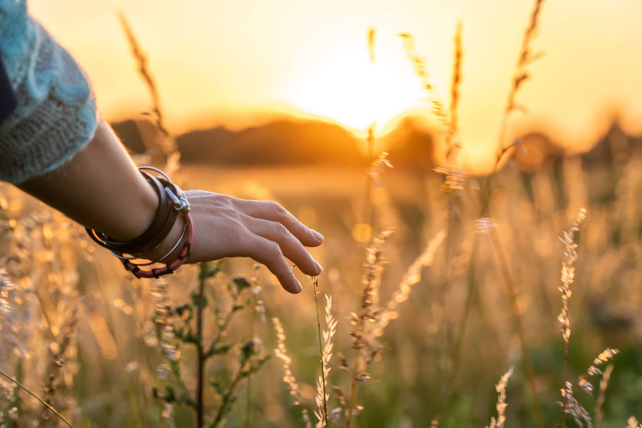 What's Coming Into Your Field? Listening to Your Body for Guidance
